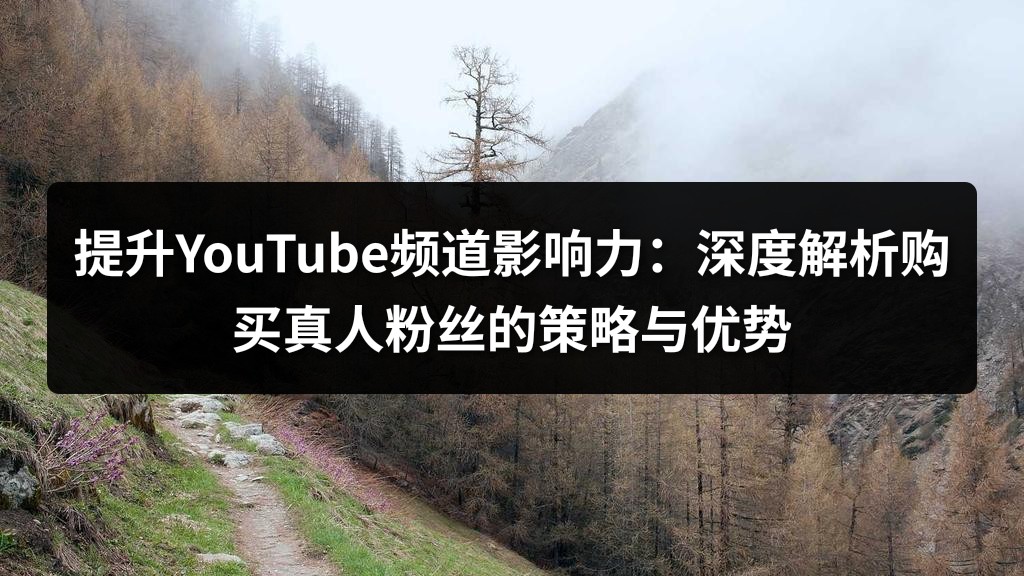提升YouTube频道影响力：深度解析购买真人粉丝的策略与优势