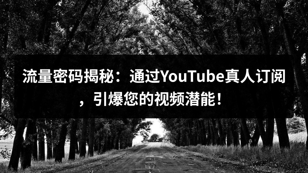 流量密码揭秘：通过YouTube真人订阅，引爆您的视频潜能！