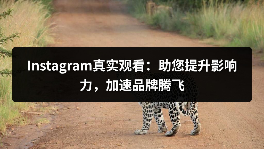 Instagram真实观看：助您提升影响力，加速品牌腾飞