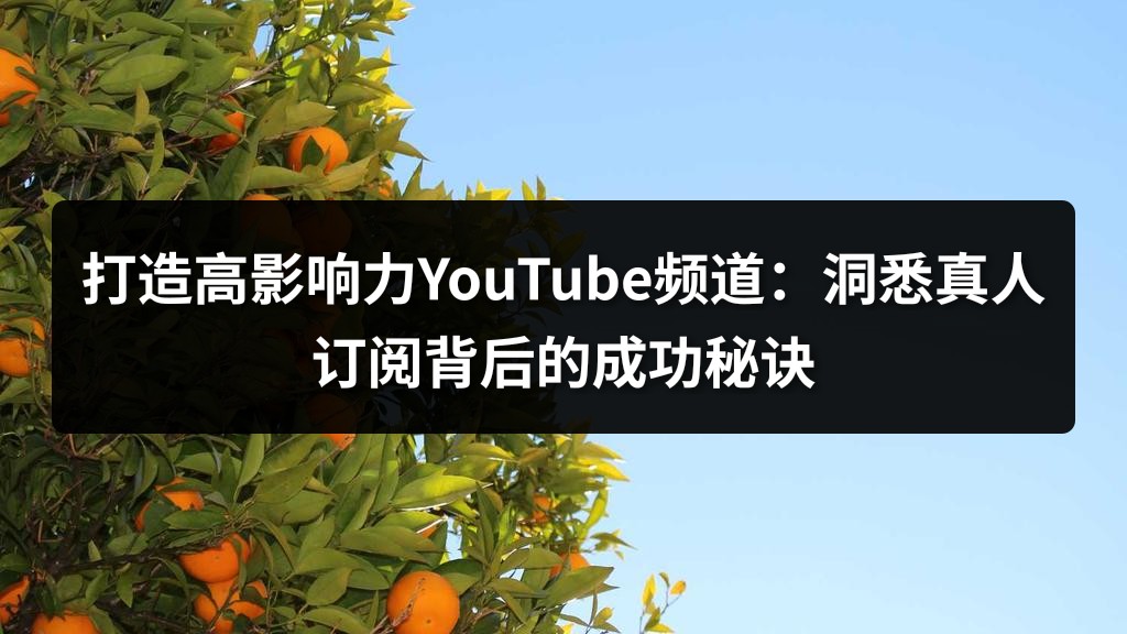 打造高影响力YouTube频道：洞悉真人订阅背后的成功秘诀