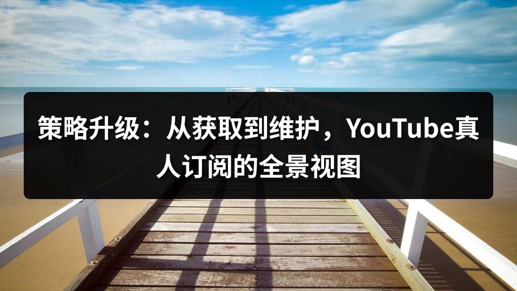 策略升级：从获取到维护，YouTube真人订阅的全景视图