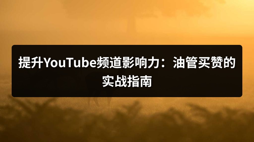 提升YouTube频道影响力：油管买赞的实战指南