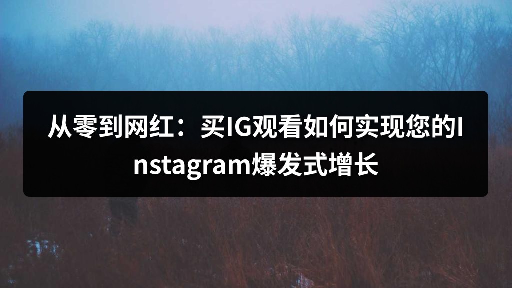 从零到网红：买IG观看如何实现您的Instagram爆发式增长