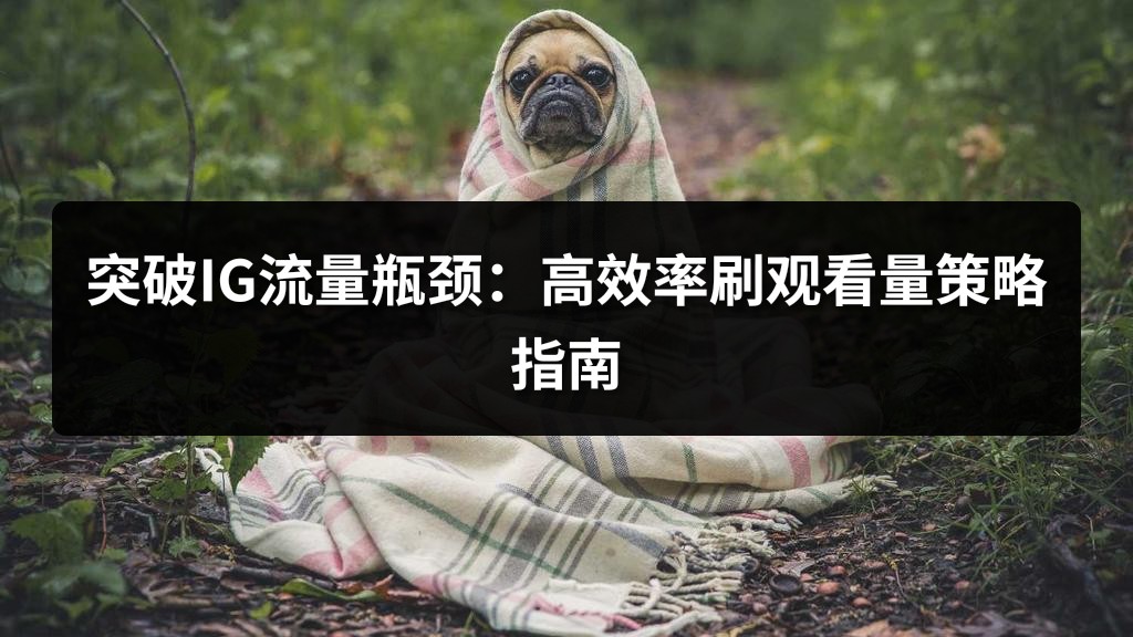突破IG流量瓶颈：高效率刷观看量策略指南