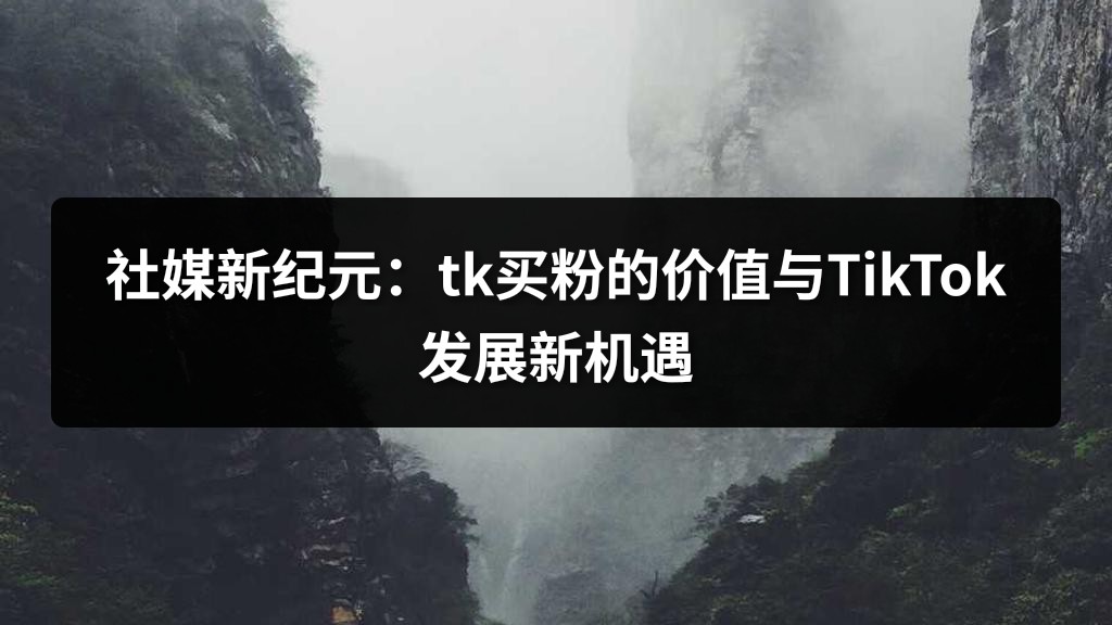 社媒新纪元：tk买粉的价值与TikTok发展新机遇