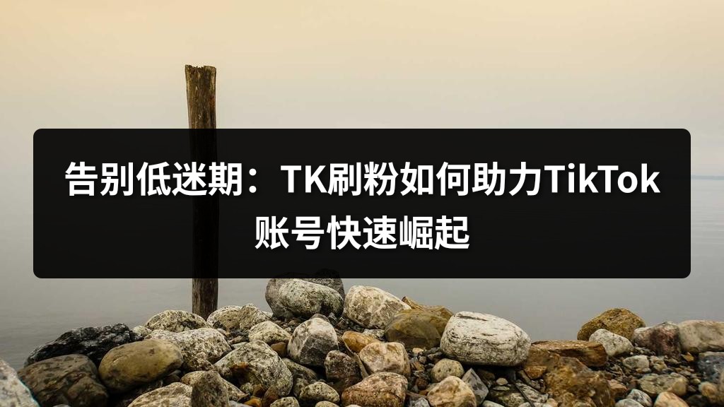 告别低迷期：TK刷粉如何助力TikTok账号快速崛起