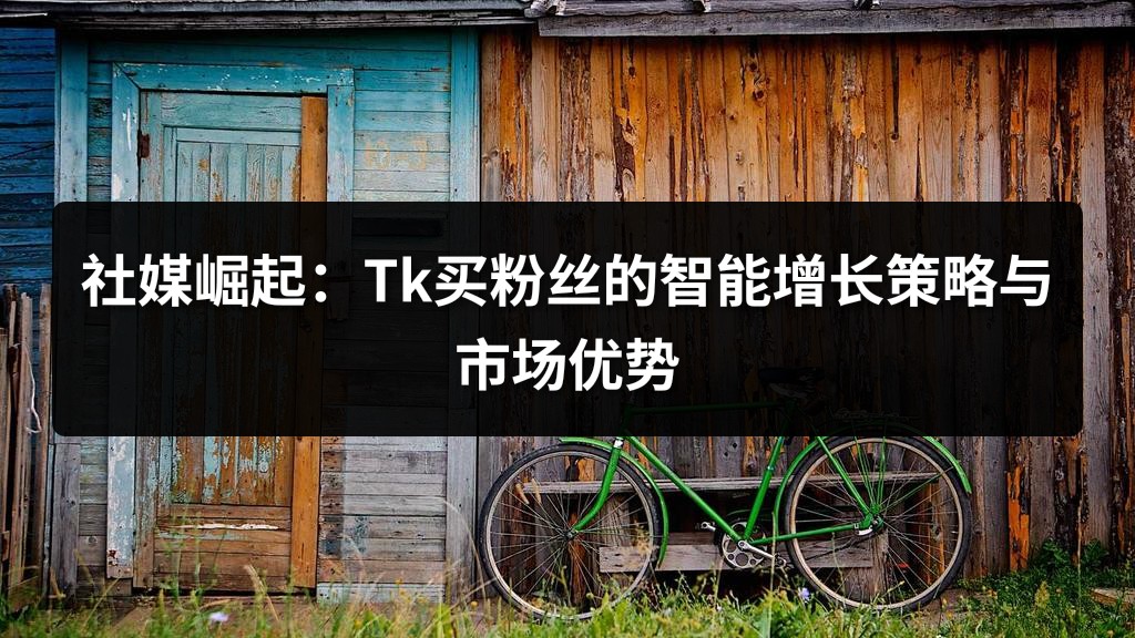 社媒崛起：Tk买粉丝的智能增长策略与市场优势