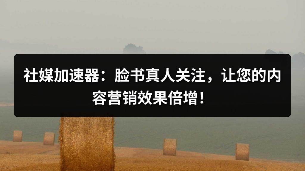 社媒加速器：脸书真人关注，让您的内容营销效果倍增！