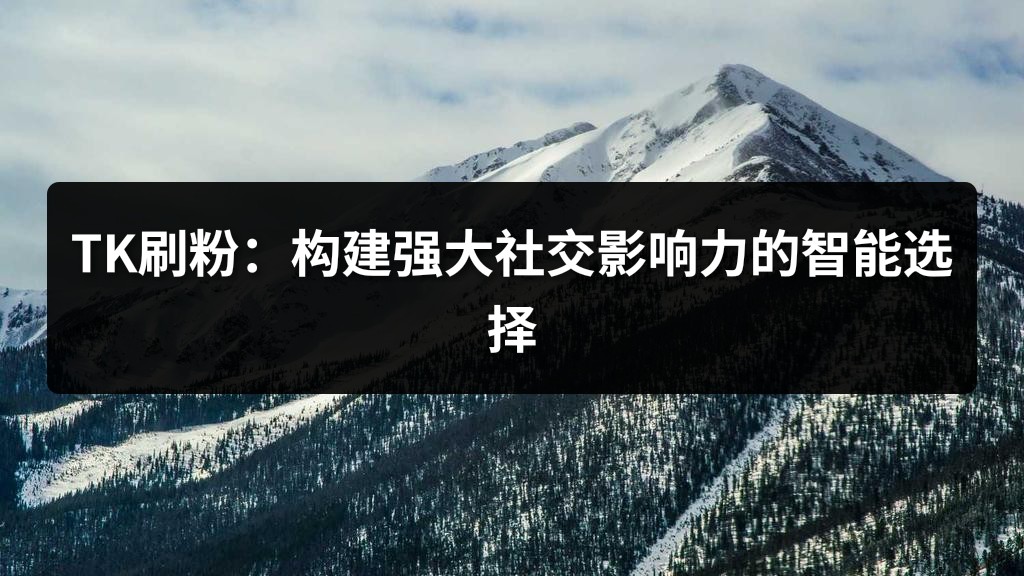 TK刷粉：构建强大社交影响力的智能选择
