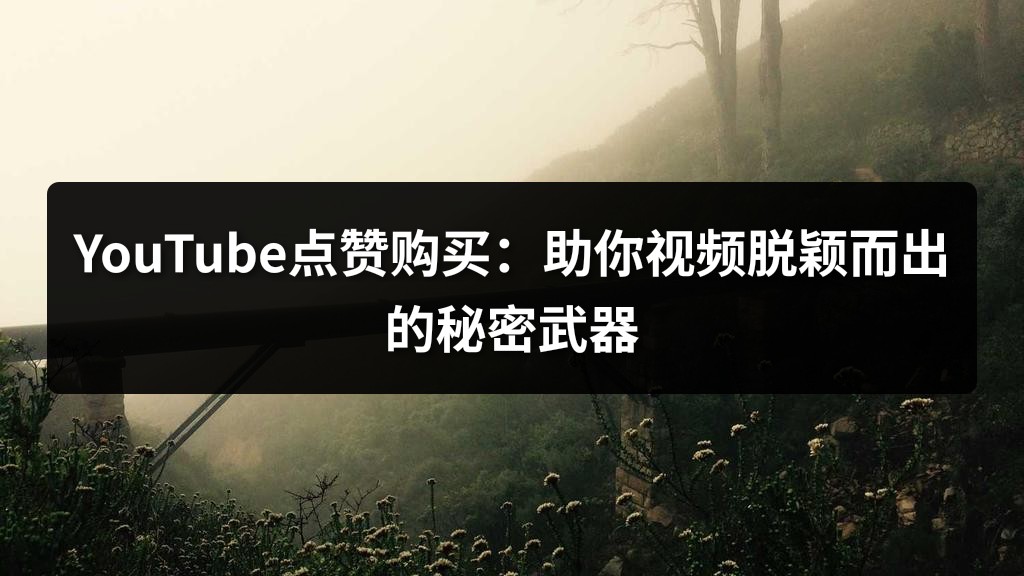 YouTube点赞购买：助你视频脱颖而出的秘密武器