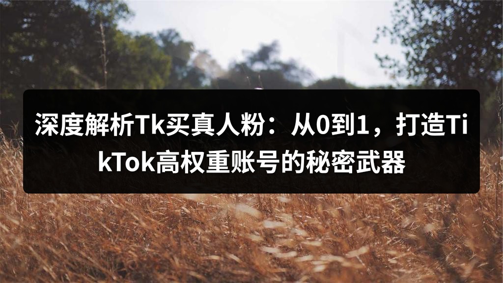 深度解析Tk买真人粉：从0到1，打造TikTok高权重账号的秘密武器