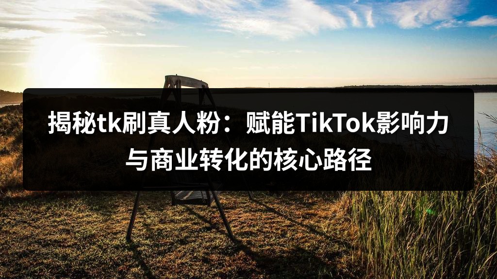 揭秘tk刷真人粉：赋能TikTok影响力与商业转化的核心路径