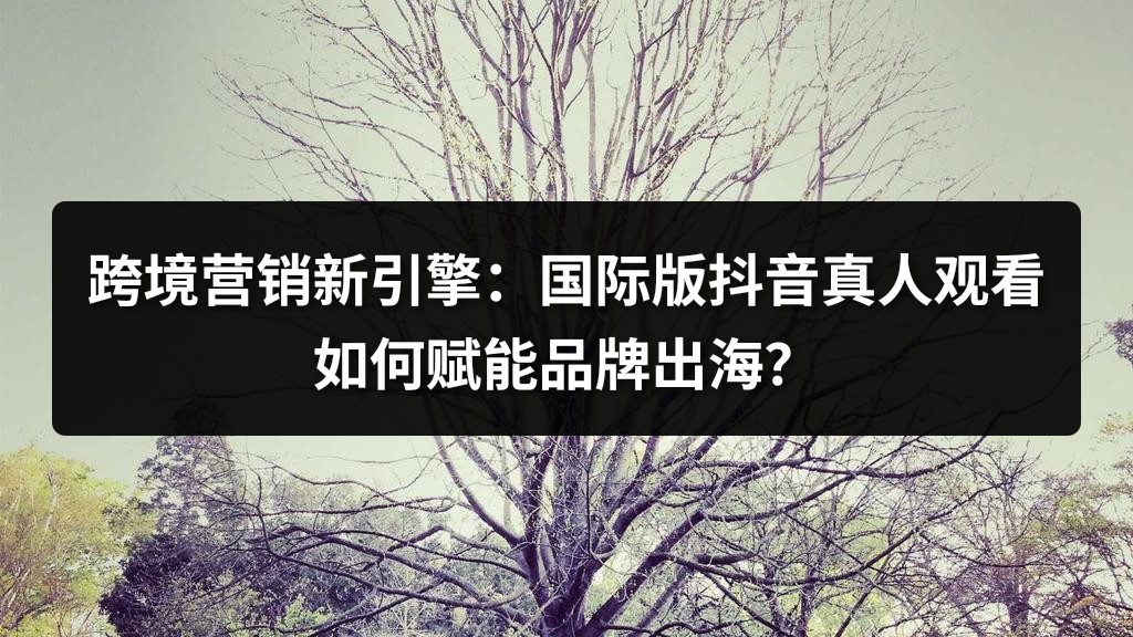 跨境营销新引擎：国际版抖音真人观看如何赋能品牌出海？