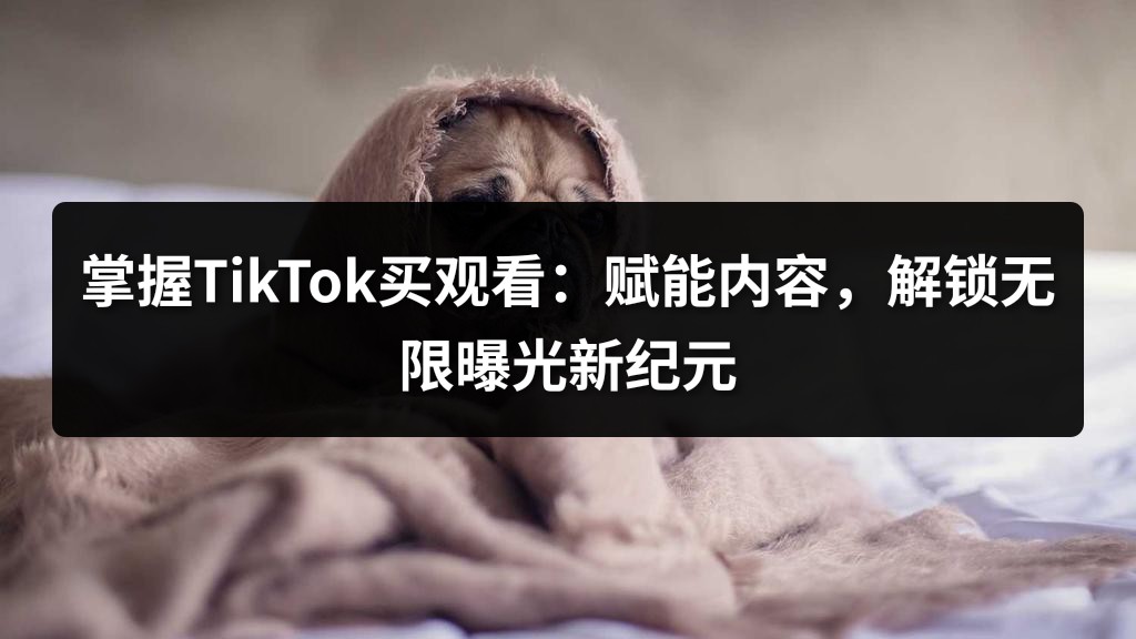 掌握TikTok买观看：赋能内容，解锁无限曝光新纪元