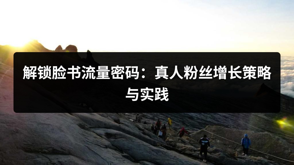 解锁脸书流量密码：真人粉丝增长策略与实践