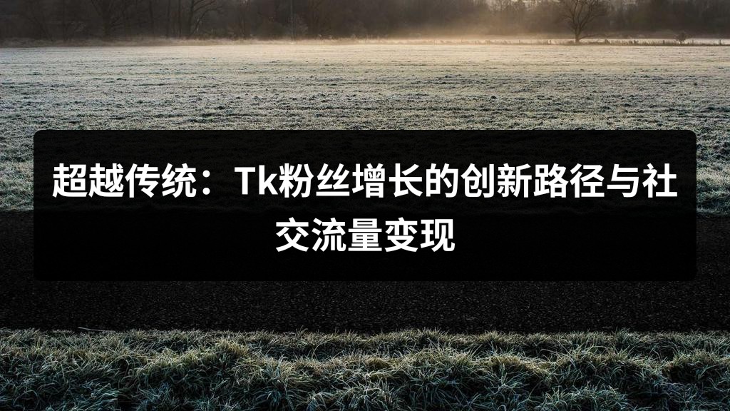 超越传统：Tk粉丝增长的创新路径与社交流量变现