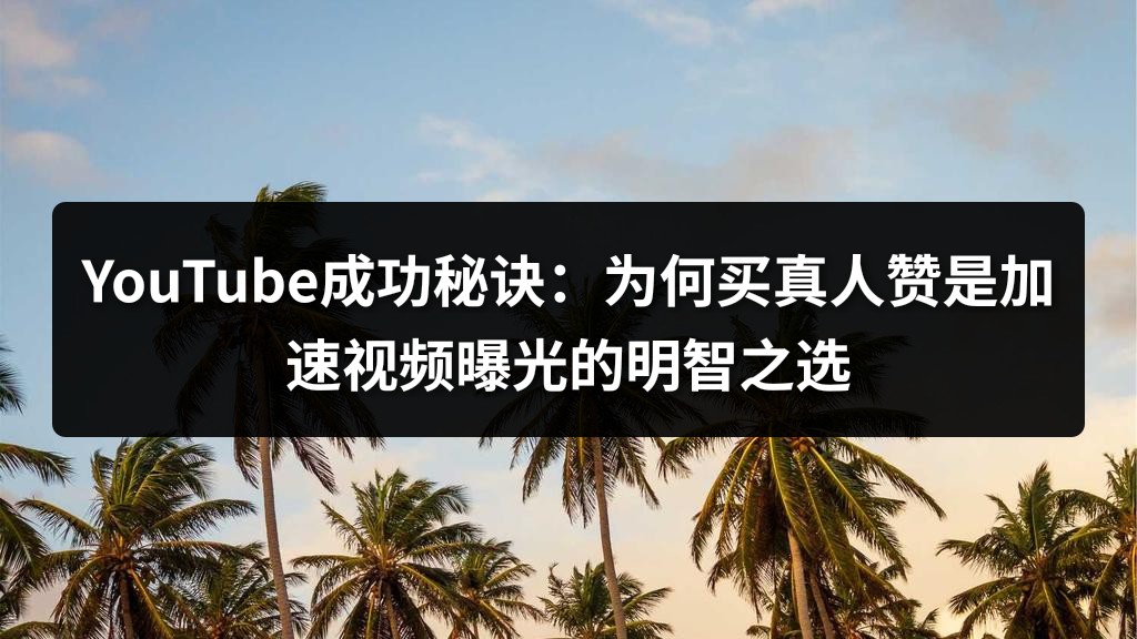 YouTube成功秘诀：为何买真人赞是加速视频曝光的明智之选