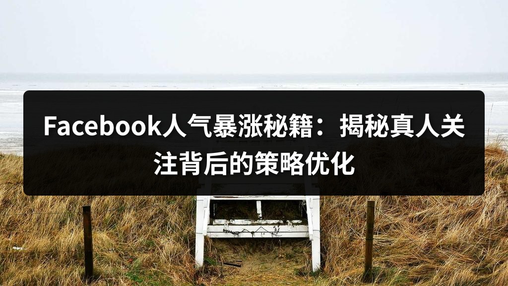 Facebook人气暴涨秘籍：揭秘真人关注背后的策略优化