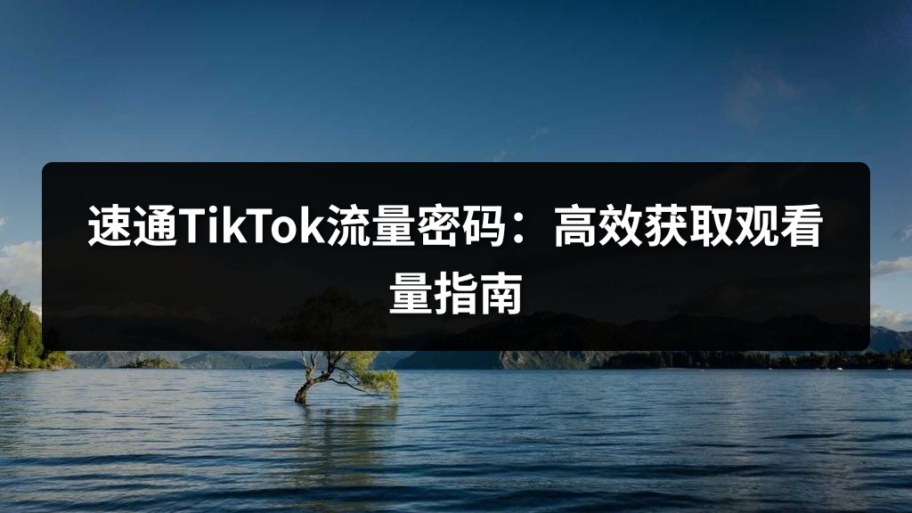 速通TikTok流量密码：高效获取观看量指南