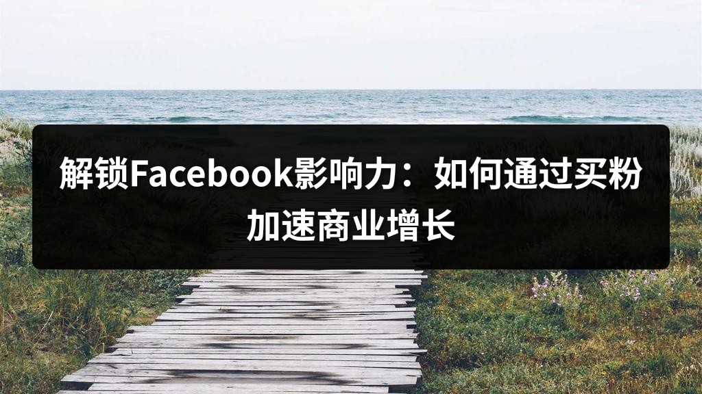 解锁Facebook影响力：如何通过买粉加速商业增长
