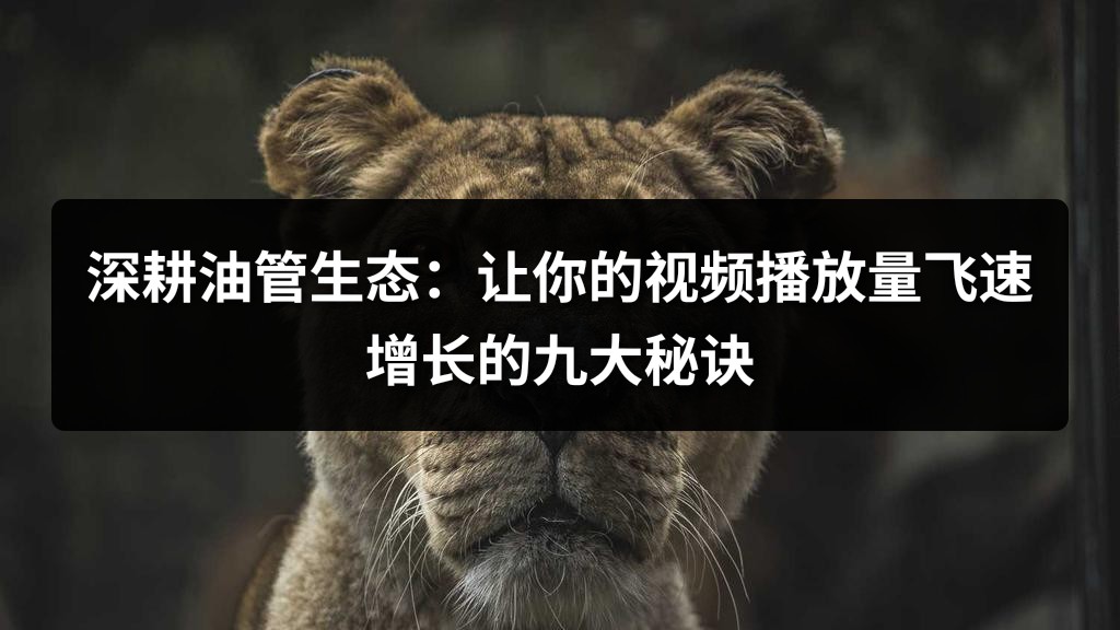 深耕油管生态：让你的视频播放量飞速增长的九大秘诀