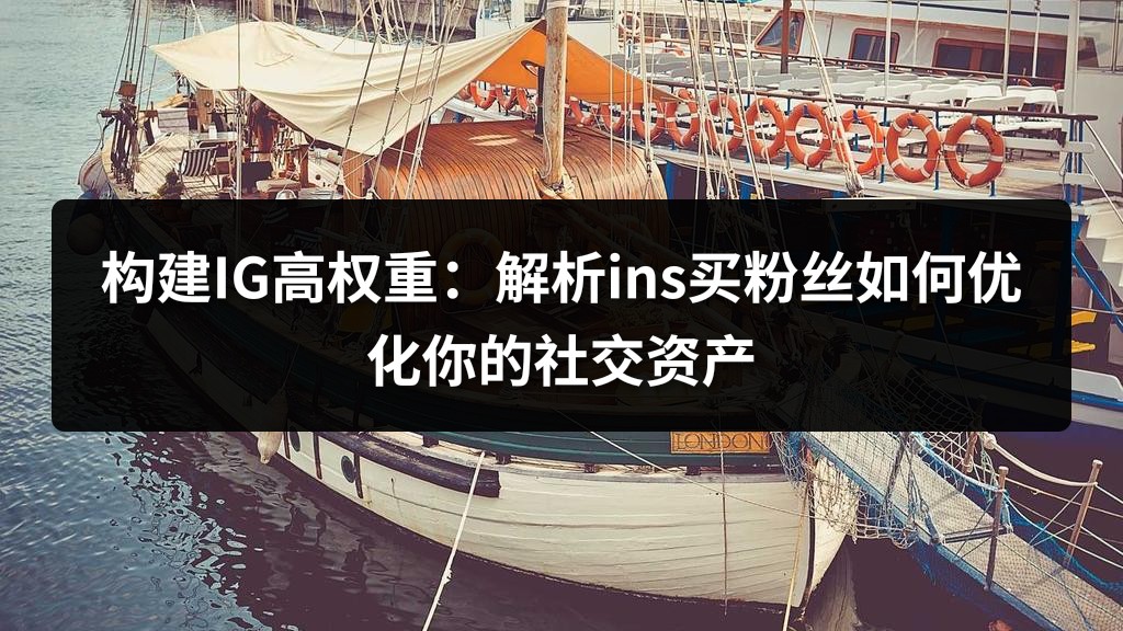 构建IG高权重：解析ins买粉丝如何优化你的社交资产