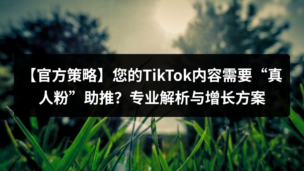【官方策略】您的TikTok内容需要“真人粉”助推？专业解析与增长方案