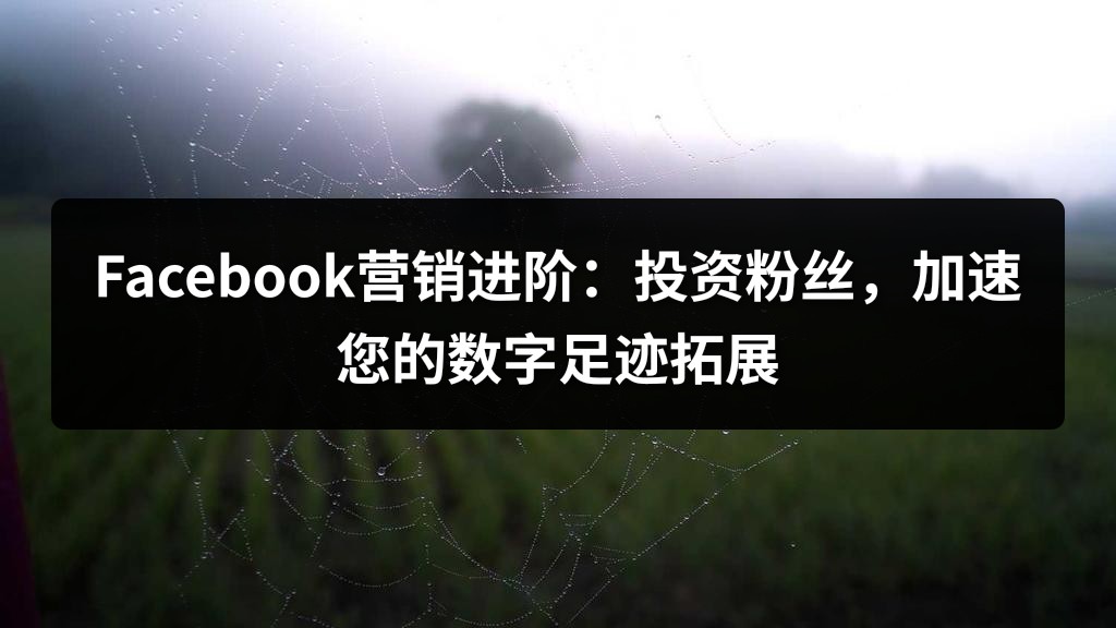 Facebook营销进阶：投资粉丝，加速您的数字足迹拓展