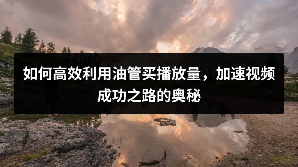 如何高效利用油管买播放量，加速视频成功之路的奥秘