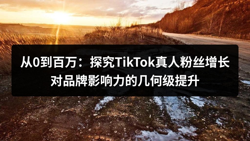 从0到百万：探究TikTok真人粉丝增长对品牌影响力的几何级提升