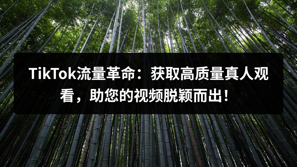 TikTok流量革命：获取高质量真人观看，助您的视频脱颖而出！