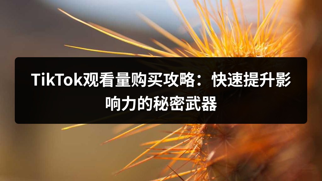 TikTok观看量购买攻略：快速提升影响力的秘密武器