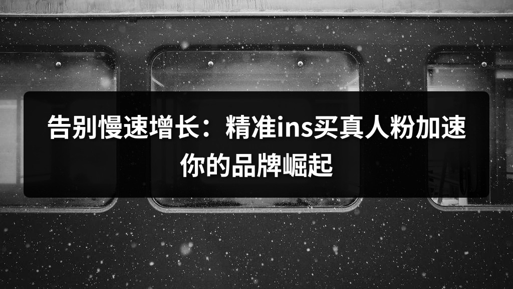 告别慢速增长：精准ins买真人粉加速你的品牌崛起