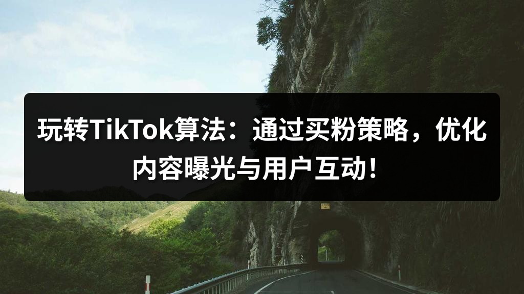 玩转TikTok算法：通过买粉策略，优化内容曝光与用户互动！