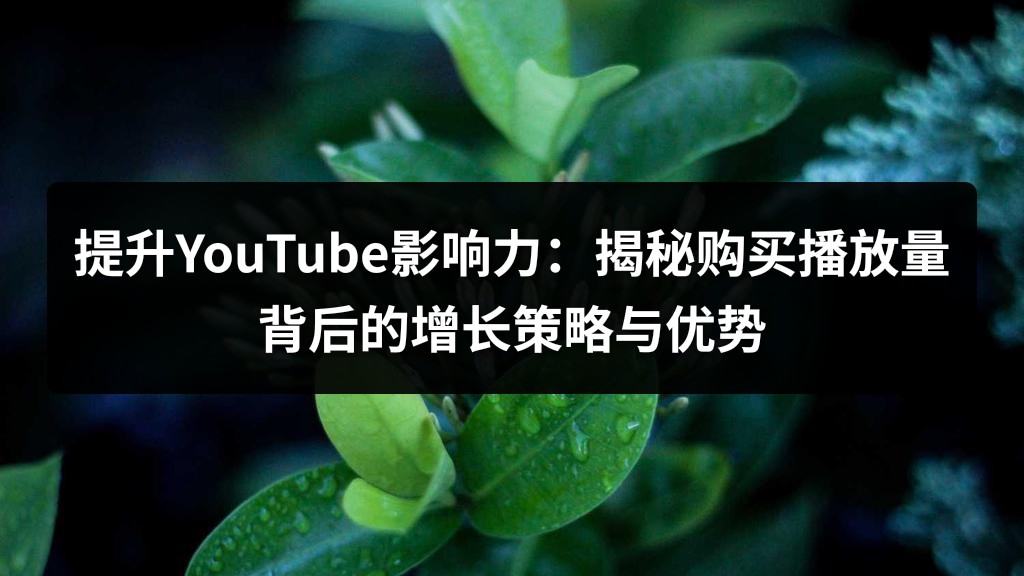 提升YouTube影响力：揭秘购买播放量背后的增长策略与优势