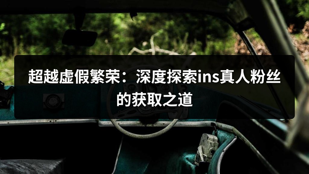 超越虚假繁荣：深度探索ins真人粉丝的获取之道