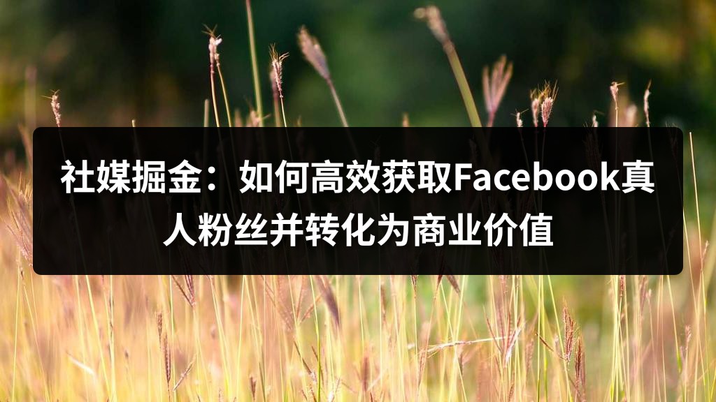 社媒掘金：如何高效获取Facebook真人粉丝并转化为商业价值
