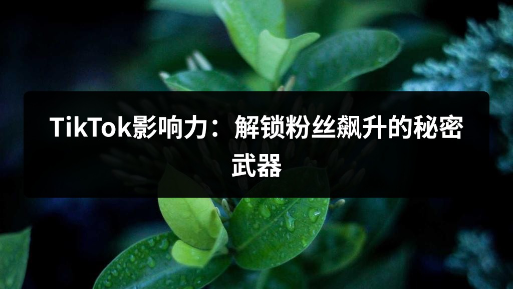 TikTok影响力：解锁粉丝飙升的秘密武器