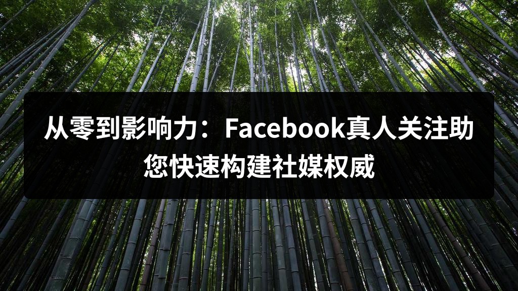 从零到影响力：Facebook真人关注助您快速构建社媒权威