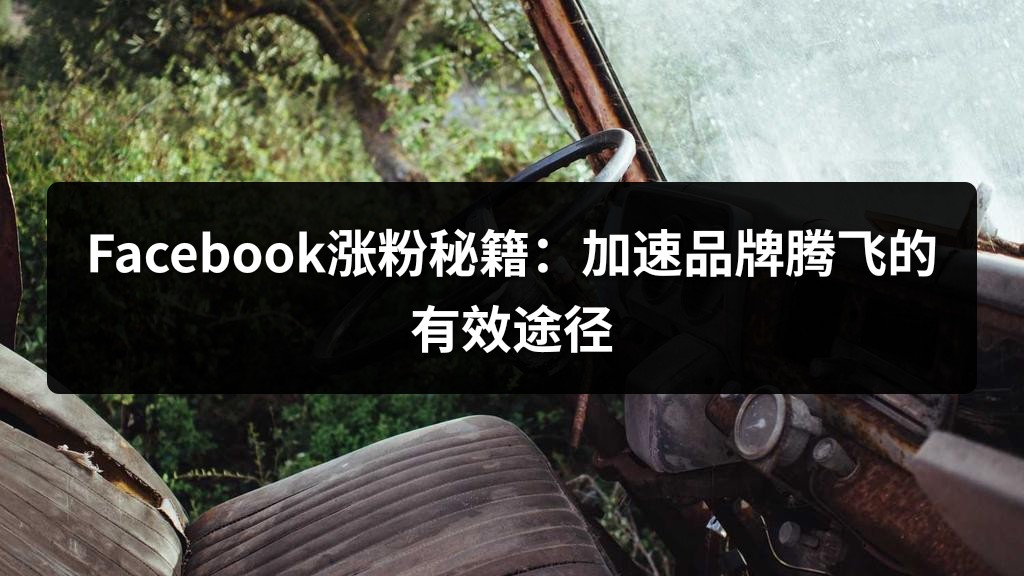 Facebook涨粉秘籍：加速品牌腾飞的有效途径