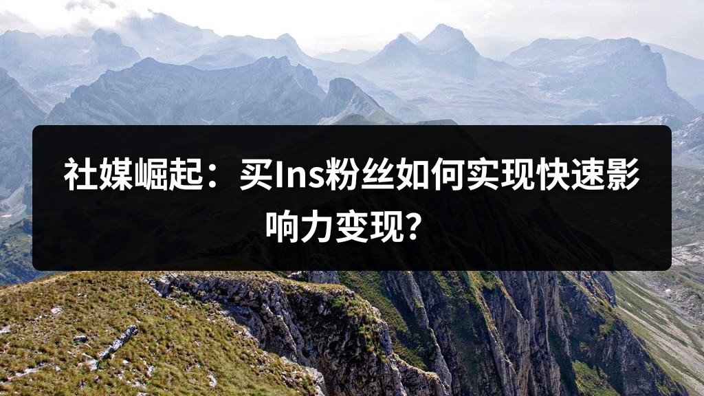 社媒崛起：买Ins粉丝如何实现快速影响力变现？