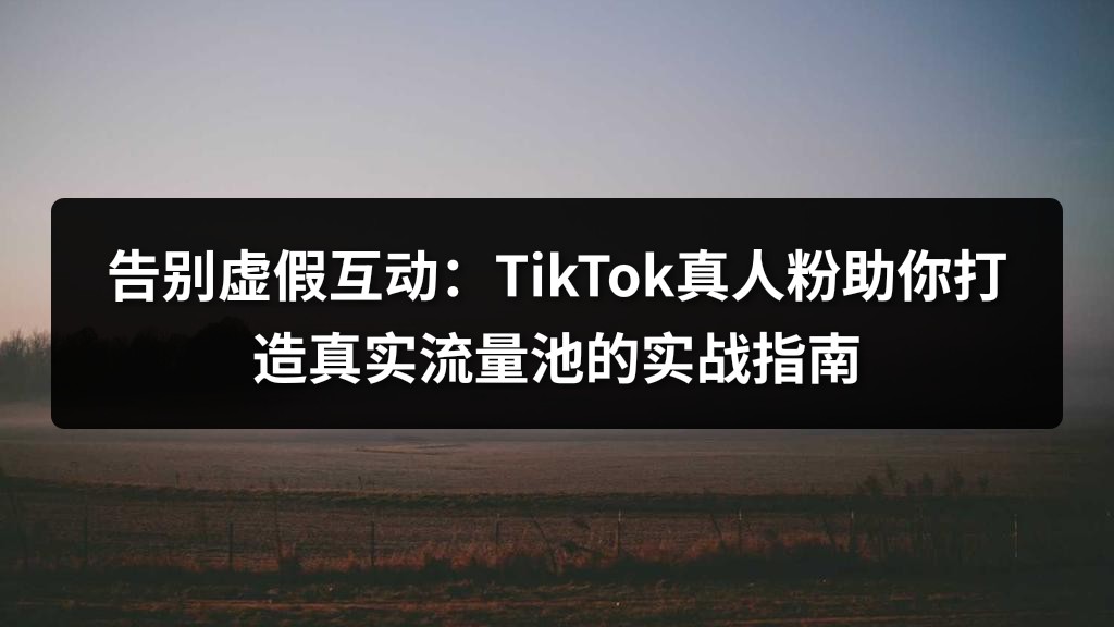 告别虚假互动：TikTok真人粉助你打造真实流量池的实战指南