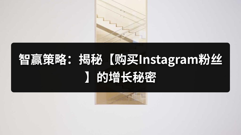 智赢策略：揭秘【购买Instagram粉丝】的增长秘密