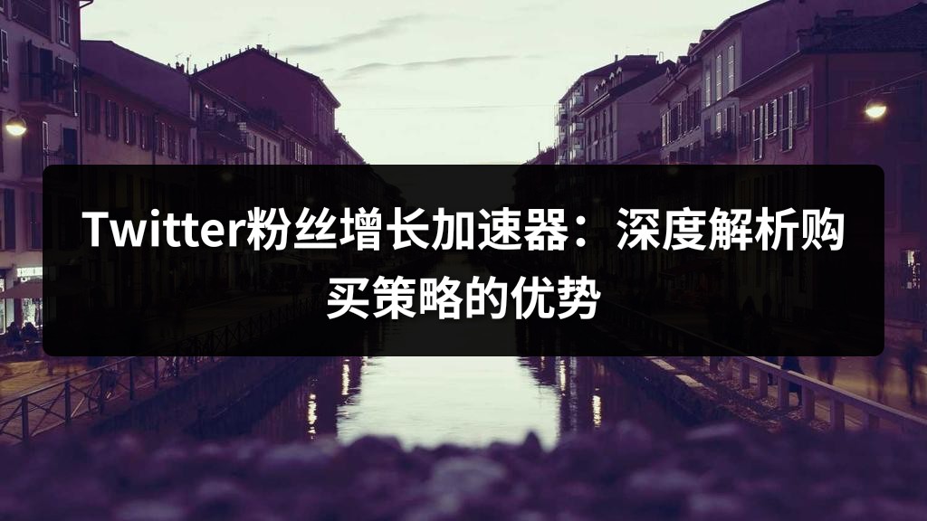 Twitter粉丝增长加速器：深度解析购买策略的优势