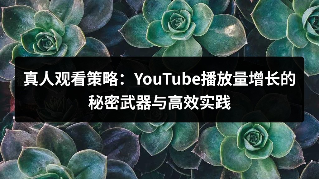 真人观看策略：YouTube播放量增长的秘密武器与高效实践