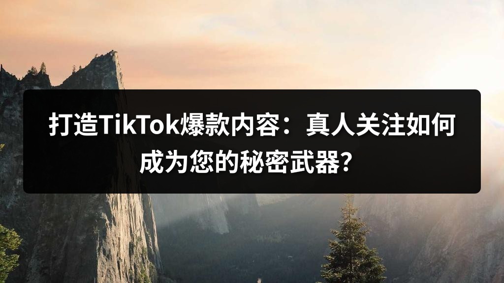 打造TikTok爆款内容：真人关注如何成为您的秘密武器？