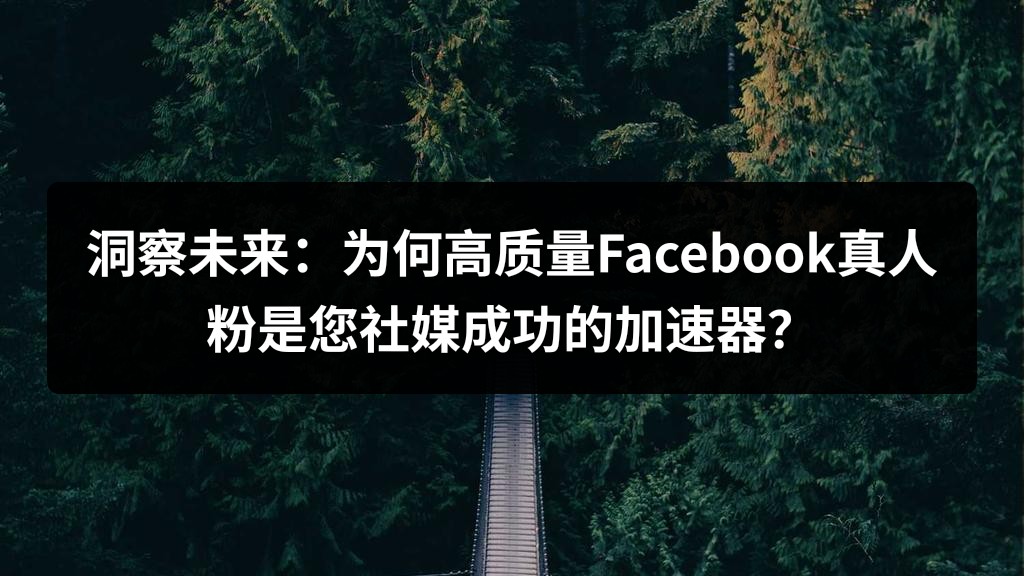 洞察未来：为何高质量Facebook真人粉是您社媒成功的加速器？