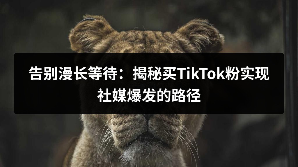 告别漫长等待：揭秘买TikTok粉实现社媒爆发的路径