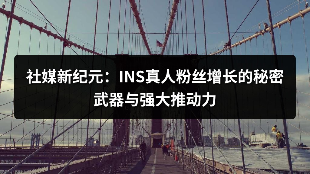 社媒新纪元：INS真人粉丝增长的秘密武器与强大推动力
