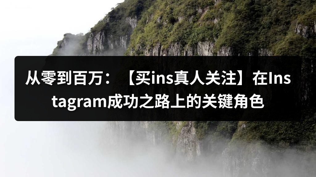 从零到百万：【买ins真人关注】在Instagram成功之路上的关键角色
